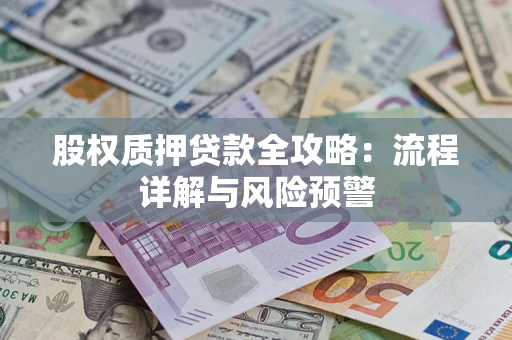 北京股权质押贷款全攻略：流程详解与风险预警