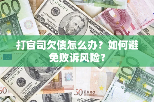 北京打官司欠债怎么办？如何避免败诉风险？
