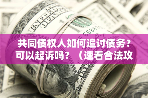 北京共同债权人如何追讨债务？可以起诉吗？（速看合法攻略）